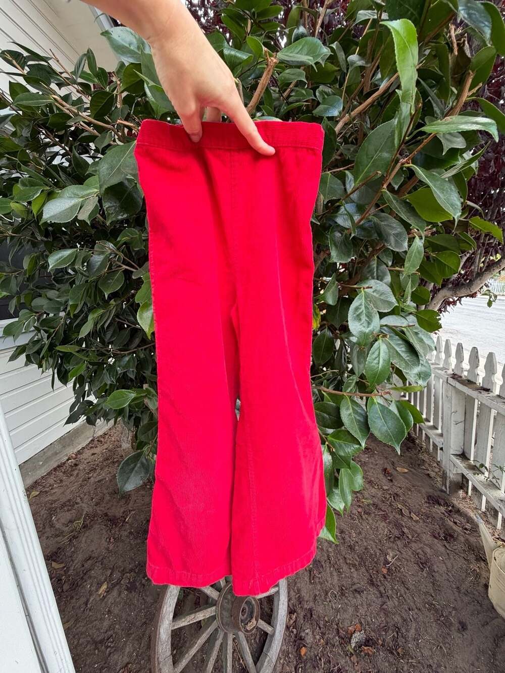 Healthtex Red Corduroy Flare Pants